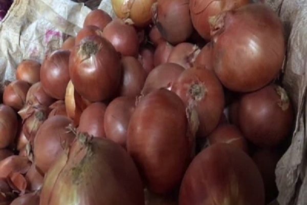 Кракен маркет только через тор скачать