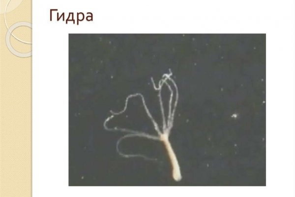 Кракен сайт работает